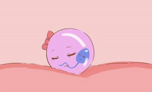 赴泰生子费用多少？标准答案来了