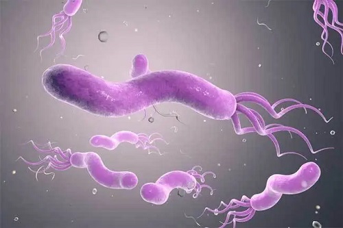 试管婴儿技术之精子洗涤技术是怎么实现的？