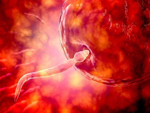 赴泰试管，心理因素不可小觑