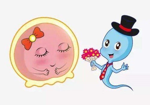 三代试管婴儿到底贵在哪里？