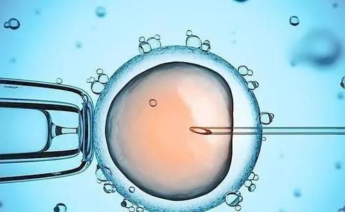 试管婴儿成功率高吗？胚胎移植后怎么促进成功率？