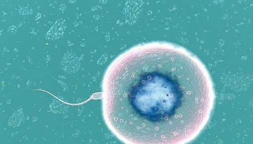 赴泰试管婴儿流程