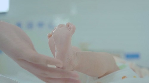 试管婴儿方案有几种？