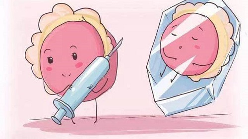 试管婴儿取卵数量决定成功率高低吗？