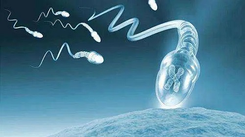 2022广州第三代试管婴儿多少钱？