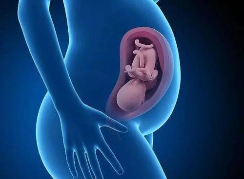 试管婴儿痛吗的经验介绍