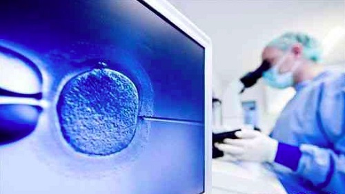 赴泰生子过程注意事项_2