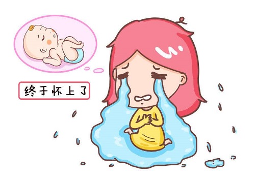 三代试管单胎和价格一样吗