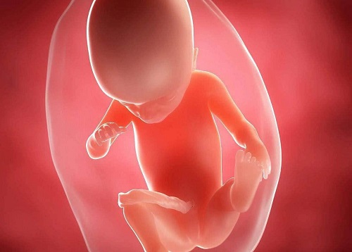 试管婴儿第二代、第一代区别是什么？