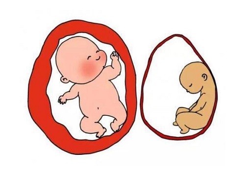 赴泰生子过程有哪些注意事项？